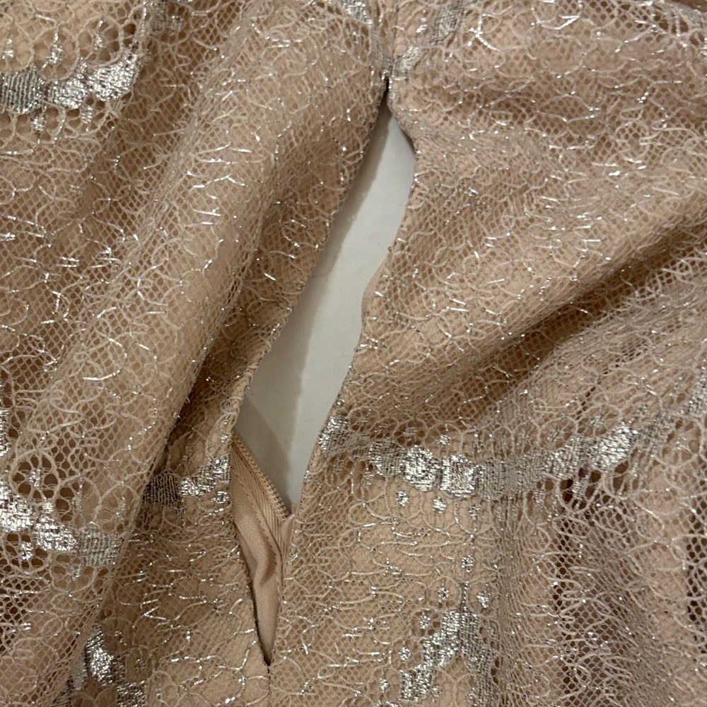 Alexis Blush Pink Sequin Lace Long-Sleeve Mini Dress - Picture 2 of 7